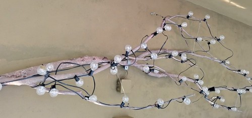 Splendido lampadario