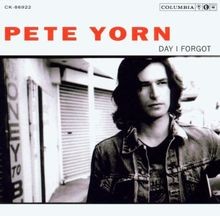 Day I Forgot von Pete Yorn | CD | Zustand sehr gut