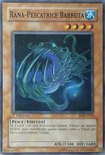 Rana-Pescatrice Barbuta -