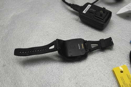 Garmin forerunner 305 - garmin,