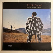 Pink Floyd Delicate Sound of