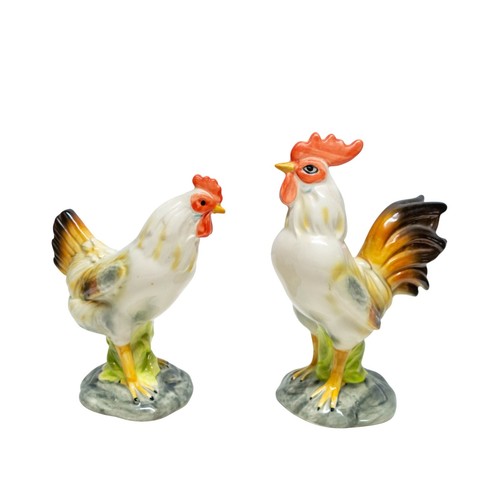 Coppia galline gallo - coppia, di