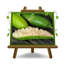 Agrumi Limone Caviale Bianco