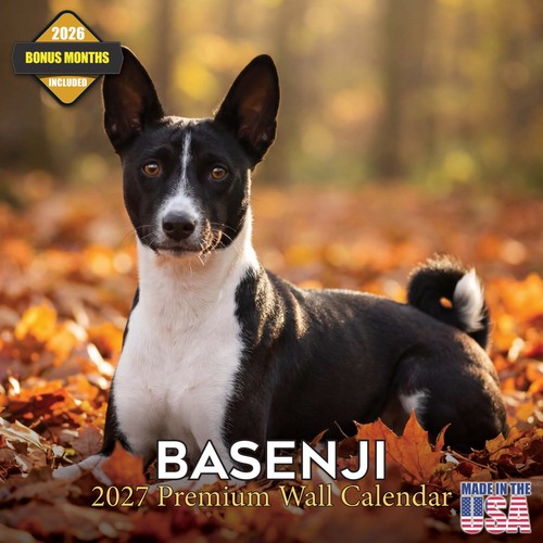 Calendario parete basenji - da,