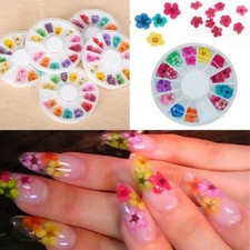 12 Colori Nail 3D Art Fiori