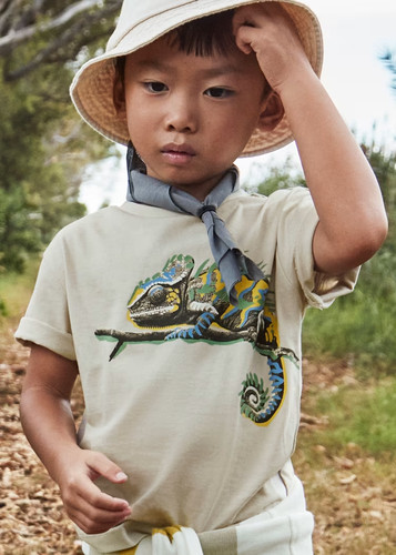 Shirt mayoral boys chamaleon - t-shirt,