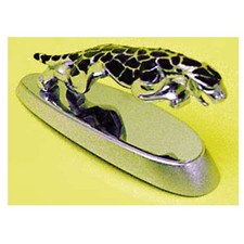 Fregio da parafango moto