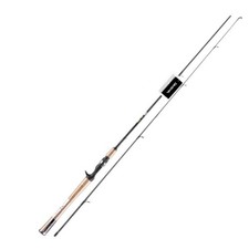 Canna pesca casting Daiwa