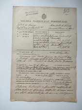 MILIZIA NAZIONALE FORESTALE