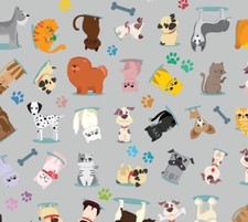 CANE,GATTO,CANI, GATTI ANIMALI