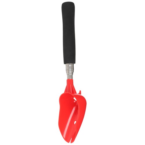 Mangiatoia pesca - ,