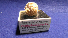 MINERALE ROSA de ARENA -