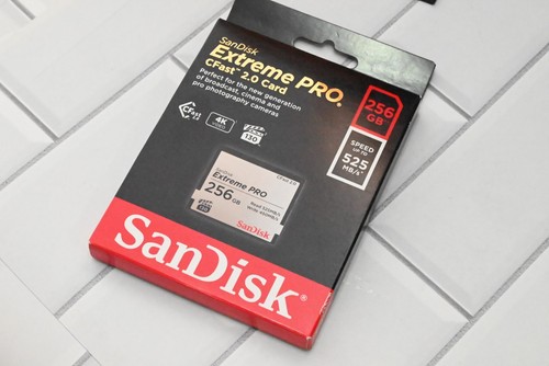 Scheda memoria sandisk 256 - sandisk,