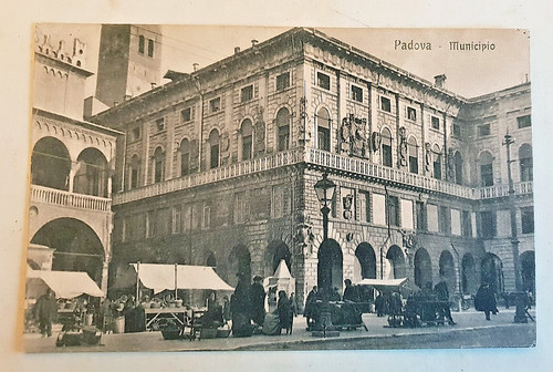 Cartolina padova municipio - padova,