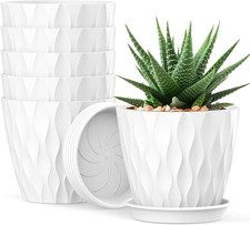 Vasi per Piante Da 10 Cm