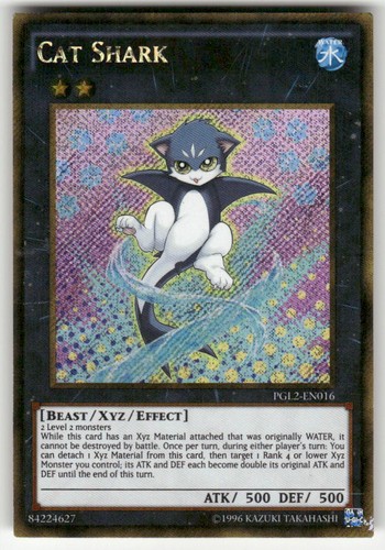 Squalo gatto pgl2 en016 - squalo, pgl2-en016