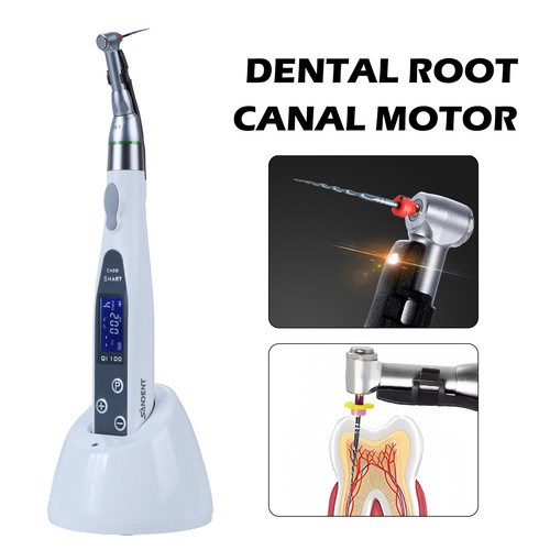 Dentista led endo motor - dentista,