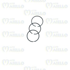 Serie fasce pistone yanmar