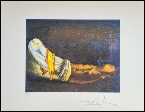 Salvador dali anthropomorphic - dali,