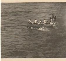 B1 -  Foto Photo Fotografia Anni 40 - Barca a remi con equipaggio Mare