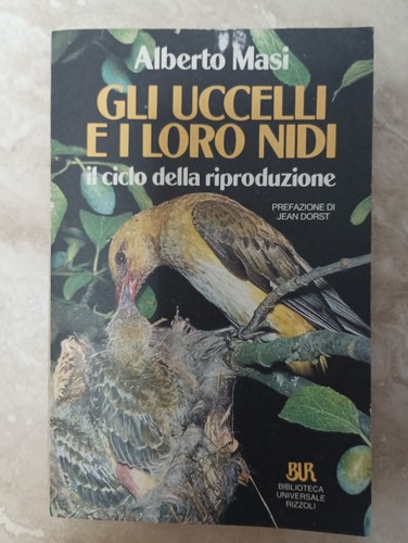 Masi gli uccelli i - gli,