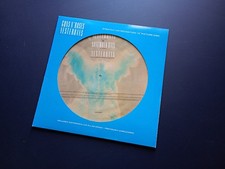 GUNS N' ROSES - Yesterdays November Rain LIMITED EDITION PICTURE DISC (Vinyl LP)