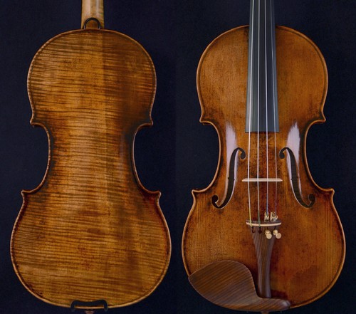 Back violino maestro - back,