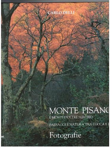 Delli monte pisano - monte,
