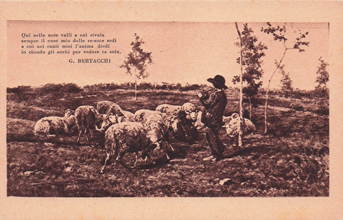 18b cartolina versi g - cartolina,
