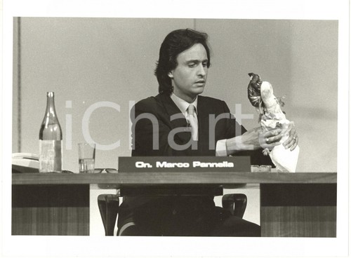 1983 canale premiatissima - canale,