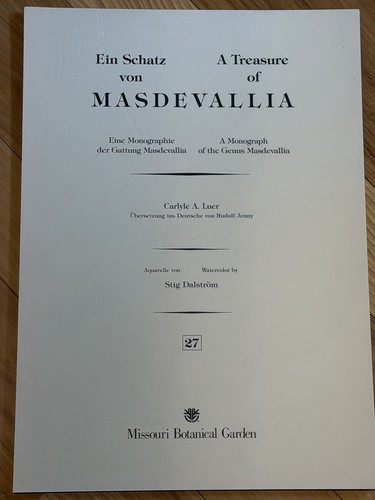 Treasure masdevallia - treasure,