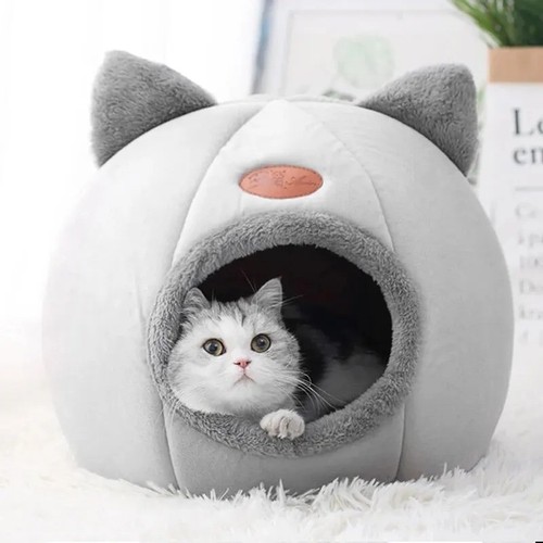 Testa gatto forma - gatto, di