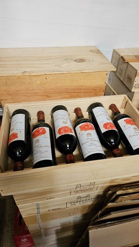 Bouteille mouton - 1,