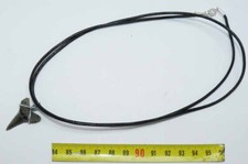 Collana Pendente Dente Di