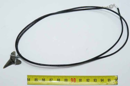 Collana pendente dente - collana, di
