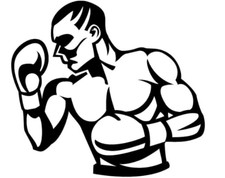 DECALCOMANIA VINILE SILHOUETTE