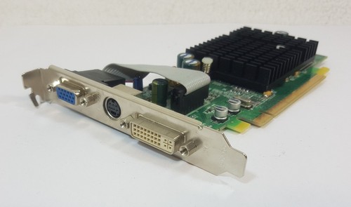 Scheda grafica pci express - grafica,