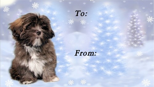 Etichette natalizie lhasa apso - natalizie,