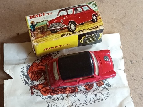 Raro corgi mini - raro, minor