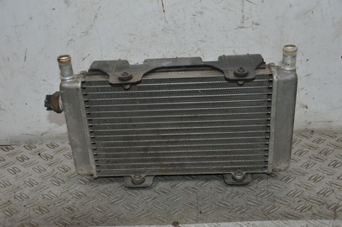 81491 radiatore completo - 81491,