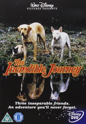 Dvd incredible journey - dvd, /
