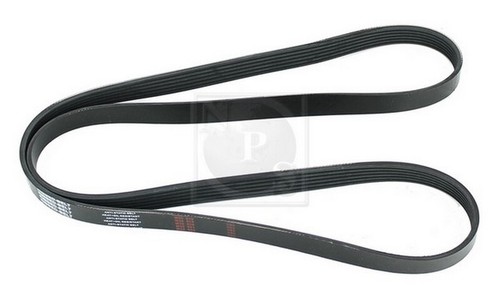 Cinghia poly per - cinghia,
