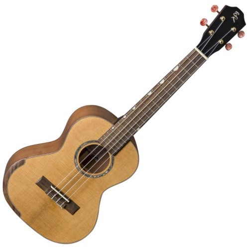 Baton rouge reco utc - rouge, ukulele