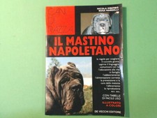 IL MASTINO NAPOLETANO IMBIMBO