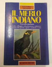 Il merlo indiano