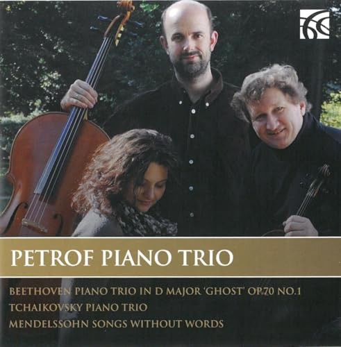 Petrof piano trio - piano,