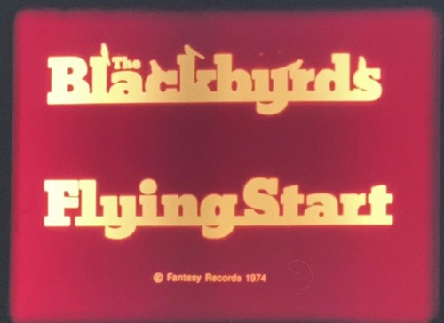 The blackbyrds flying - blackbyrds, “flying