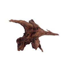 M Driftwood radice di fiume