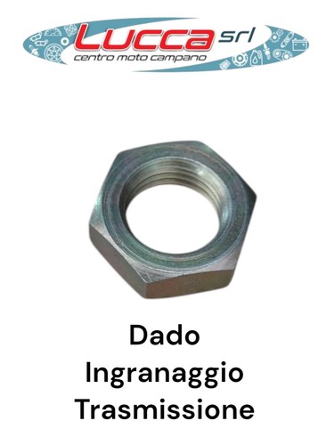 131002 dado ingranaggio - 131002,