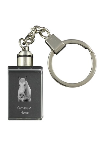 Camargue pferd orologio - camargue-pferd,